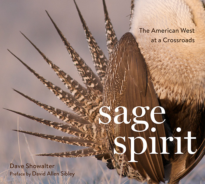 Sage Spirit book