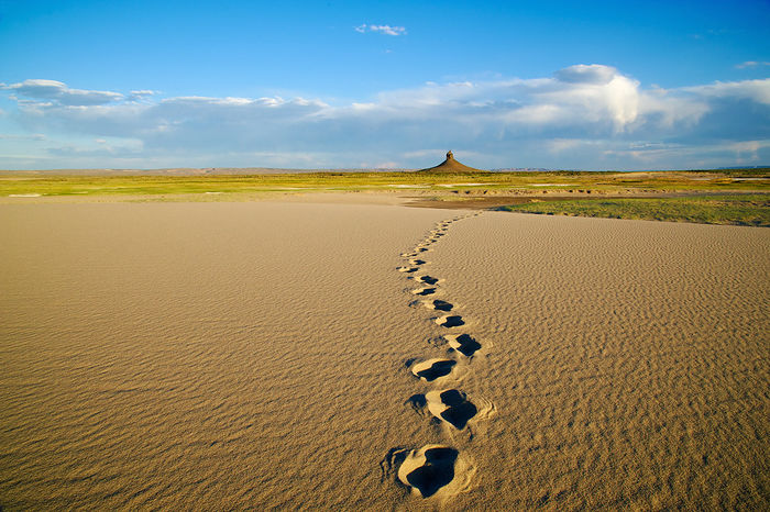 sagebrush sea,wyoming,red desert,sweetwater county,sage spirit,killpecker sand dunes,tracks,contemplative,blue,gold