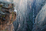 Black Canyon View