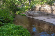 Aravaipa Green