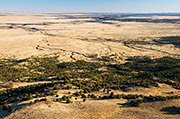Southeast Grassland From Mesa De Maya