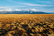 Gold and Blue Blanca Peak