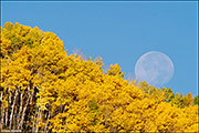 Aspen Moonset