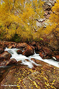 Autumn in Eldorado Canyon