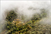 Qonchamarca Ruin Through Mist
