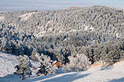 White Ranch Winter Barn