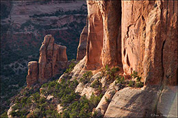 Canyon Wall Detail