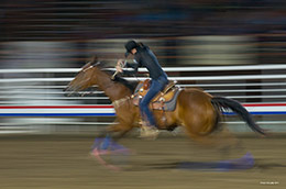 Barrel Racer