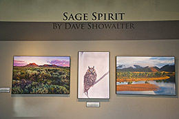 Sage Spirit Exhibit I