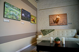 Sage Spirit Exhibit II