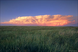Prairie Storm Cloud