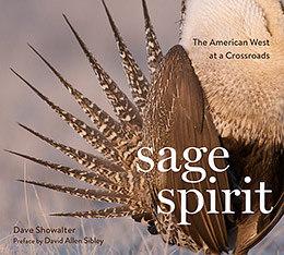 Sage Spirit Book Cover