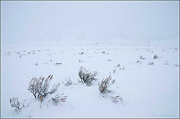 Blacktail Plateau Winter Storm