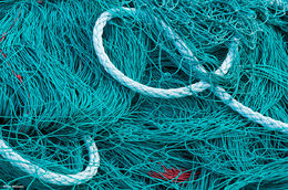 Fishing Net