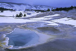 Heart Spring Winter