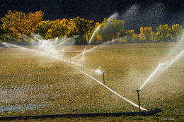 Water on Hay