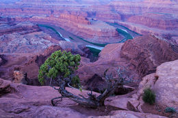 Green River Desert Dawn