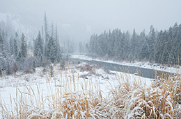 Shoshone River Winter 