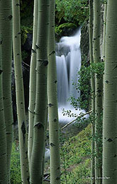 Falls on Nellie Creek