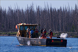 Sheepshead and Crew II