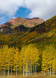Sievers Mountain Gold