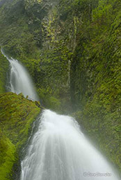 Wahkeena Falls in Spring