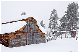 Winter Barn