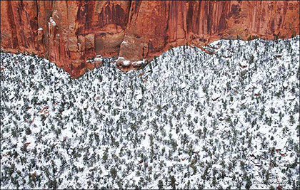 Winter Canyon print
