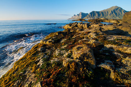 Flakstad Beach Color print