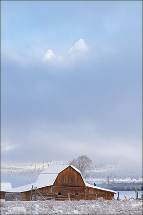 Mormon Barn and Grand Teton In Winter print