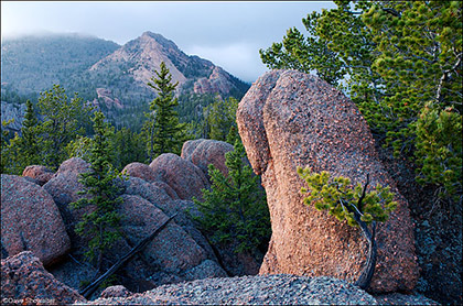 Stone and Pine print
