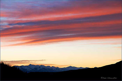 Winter's Paintbrush print