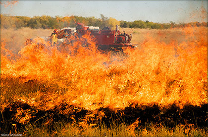 Prairie Fire print