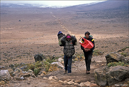 Kilimanjaro Porters print