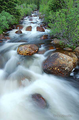 Geneva Creek Runoff print