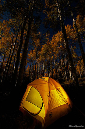 Moonlight Tent print