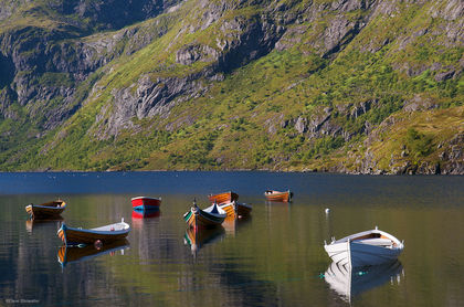 Rowboats print