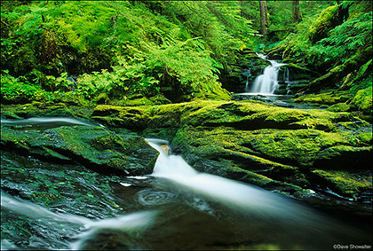 Waydelich Creek print