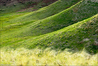 Spring Grass and Shale Hills print