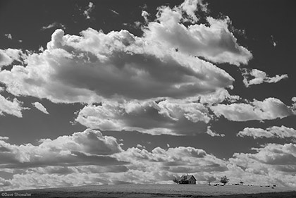 Yuma County Homestead print