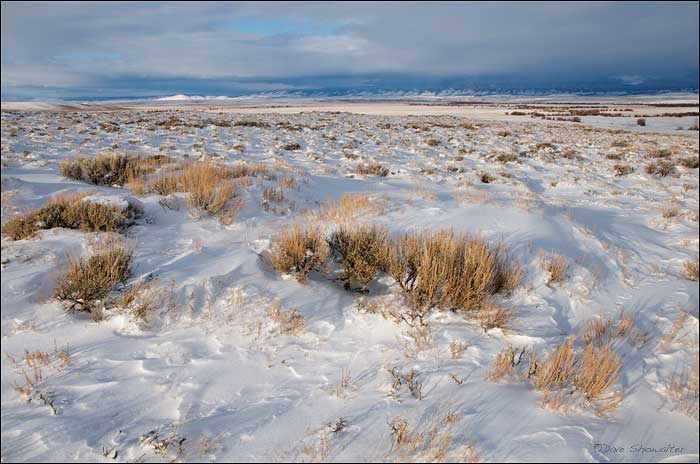 Late afternoon winter sun, sagebrush and shadow patterns in this grand view of Arapaho National Wildlife Refuge near Walden...