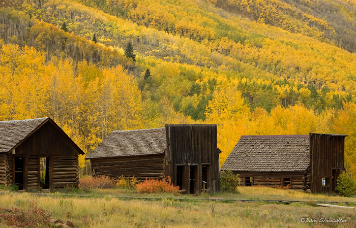 Golden aspen trees are the backdrop for buildings in the ghost town of Ashcroft. The town's heydey was 1885, when 3,500 people...