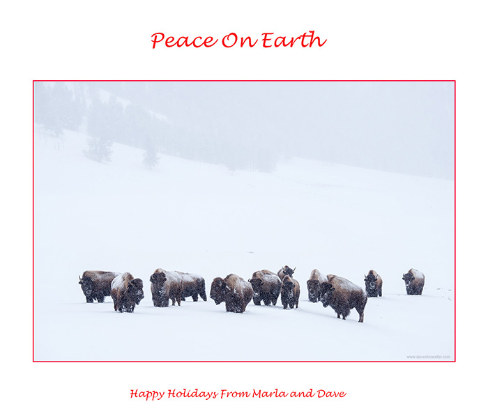 Happy Holidays 2014!