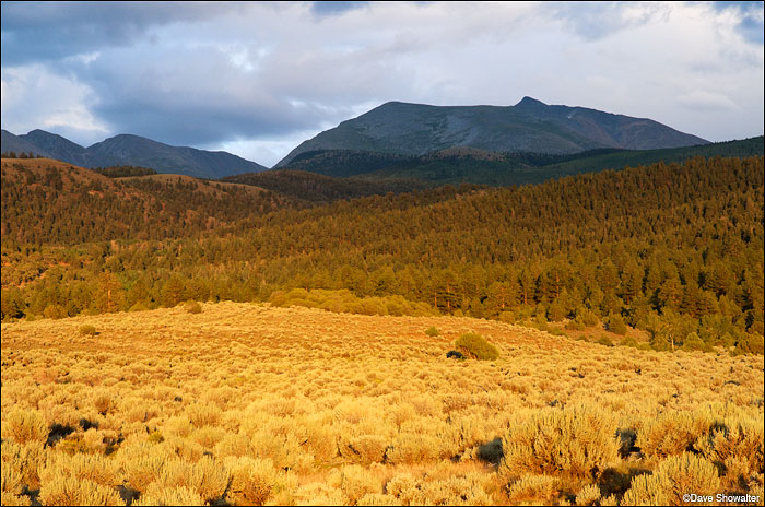 &nbsp;Warm sunset light turns sagebrush gold below Culebra Peak (14,069') on Cielo Vista Ranch. We were paying guests of the...