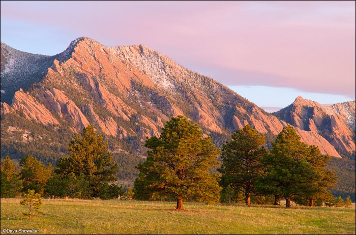 Sunrise lights Bear Peak, 8,461' as snow contrasts with spring-green grasses. Bear Peak lies on the southern edge of the Flatirons...