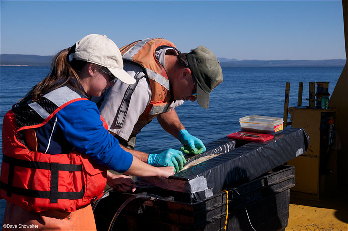 &nbsp;With an assist from Jessica Dugar, Brian Ertel of the NPS performs surgery to insert a transmitter in an invasive lake...