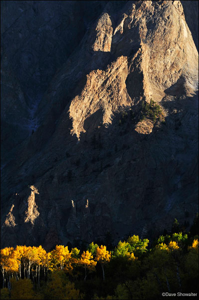 &nbsp;Morning light grazes the rugged edges of Marcellina Mountain (11,348') and tops of gold aspen on Kebler pass.
