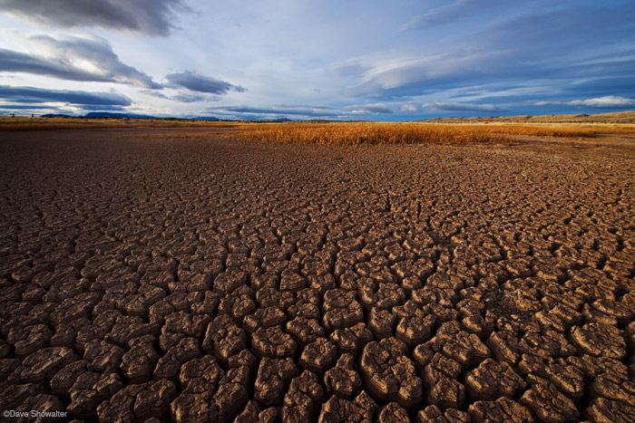 Golden light in late afternoon highlights to texture in dried mud and golden grasses of a playa in the Oregon Basin.