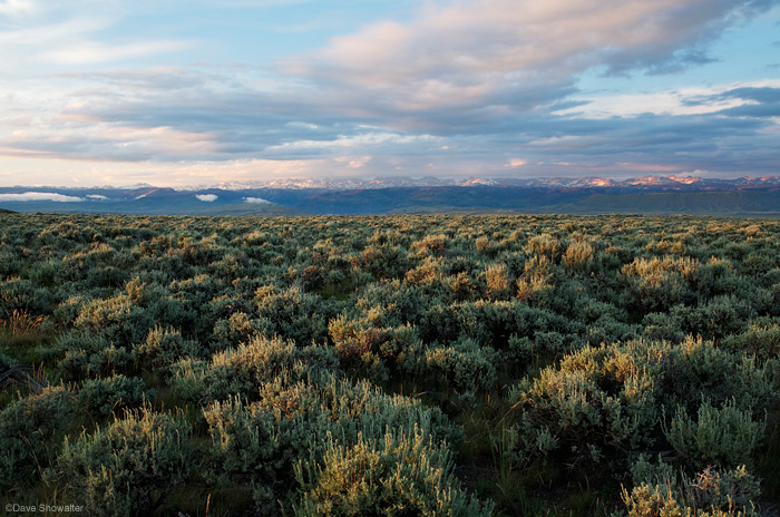 &nbsp;Sagebrush and the Wind River Range on Pinedale Mesa. This are is very close to heavy drilling and the ker-chunk, ker-chunk...