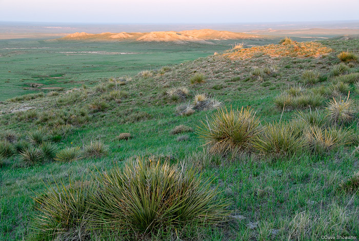 &nbsp;A spring sunset casts golden light on bluffs over the verdant green spring prairie. The Pawnee grassland is characterized...